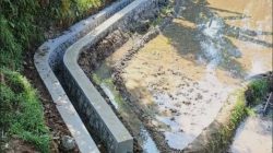 Jatah Program P3A Kabupaten Takalar 2025 Dipastikan Kosong, Petani Keluhkan Potensi Krisis Air