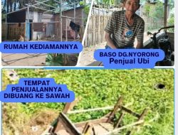 Air Mata di Lapak Ubi: Pedagang Tua di Takalar Kehilangan Mata Pencaharian, Dugaan Pembongkaran Miris Jadi Sorotan