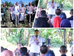 Wabup Takalar Bersama Forkopimda Lakukan Panen Raya Jagung