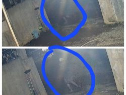 Curnak Gagal di Jipang, Sapi Rp 35 Juta Hampir Raib Digondol Maling