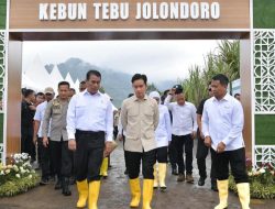 Wujudkan Swasembada Gula, Wapres Gibran Dorong Aksi Nyata dan Sinergi Pemerintah Pusat-Daerah