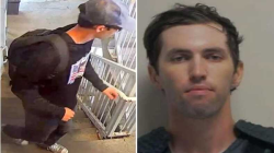 FBI Sita Senapan Bolt-Action Mauser Milik Penembak Charlie Kirk