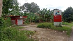 Bukan Solusi, Pertashop Justru Jerumuskan UMKM ke Jurang Bangkrut