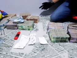 BNN Bongkar Jaringan Narkoba di Kampung Bahari, Sita Emas, Uang Miliaran, dan Senpi