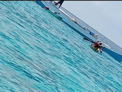 LSM Pemantik Murka! Pelaku Bom Ikan di Tanakeke Masih Berkeliaran