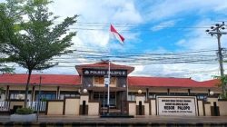 Dugaan Penipuan PNM Palopo Berlarut-Larut, Penanganan Disebut Bak Kura-Kura