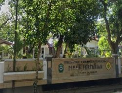 LMPR Desak APH Bongkar Lingkaran “Setan” Proyek Pokir Jalan Tani di Takalar