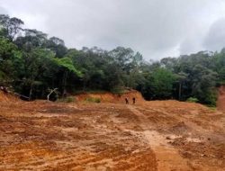 Hutan Lankoa Musnah, Pendaki Senior Bongkar Pembiaran Aparat di Tombolo Pao