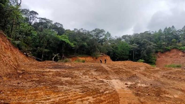 Hutan Lankoa Musnah, Pendaki Senior Bongkar Pembiaran Aparat di Tombolo Pao