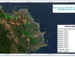 BSJ dan TMS Babat Hutan Lindung, Laporan Masuk tapi Tersangka Tak Muncul