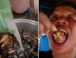 Demi Konten Viral, Nyawa Influencer Filipina Melayang Usai Santap Kepiting Beracun