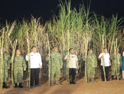Kolaborasi TNI dan Pemkab Takalar Pecah Rekor Semangat, Panen Raya Tebu Didorong Menuju Swasembada Gula