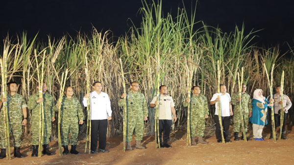 Kolaborasi TNI dan Pemkab Takalar Pecah Rekor Semangat, Panen Raya Tebu Didorong Menuju Swasembada Gula