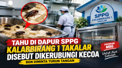 Heboh Dugaan Kecoa di Makanan MBG SPPG Kalabbirang 1 Takalar