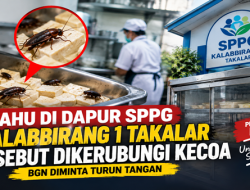 Heboh Dugaan Kecoa di Makanan MBG SPPG Kalabbirang 1 Takalar