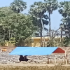 Proyek Penimbunan di Pandanga Disorot, Kapolres Takalar Diminta Telusuri Asal Material