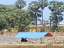 Proyek Penimbunan di Pandanga Disorot, Kapolres Takalar Diminta Telusuri Asal Material
